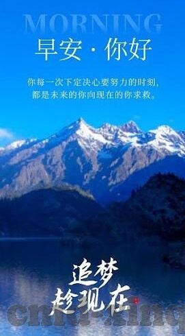 足球比分直播表-足球比分直播表，球迷的实时战场指南与数据宝藏库